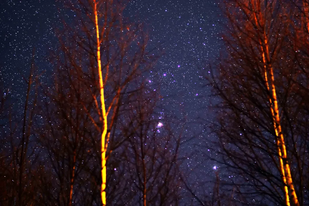 Orion : Looking through the trees from the town of Karpacz