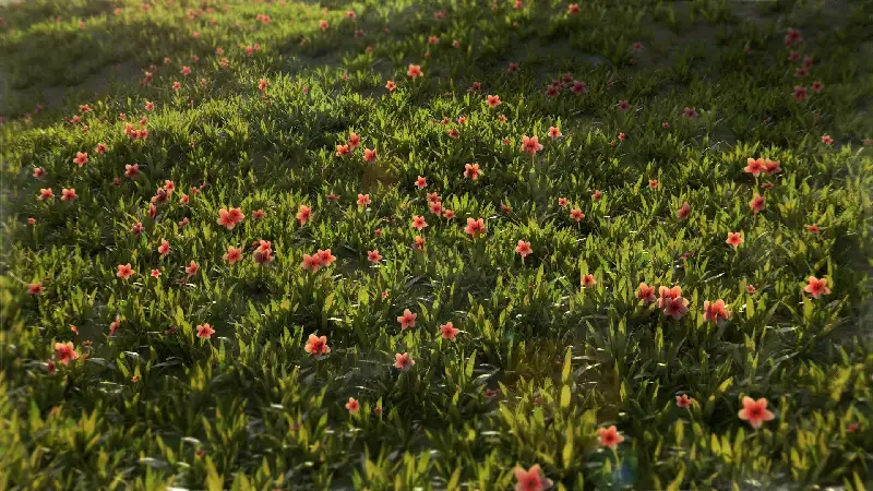 Spring grass and flowers
